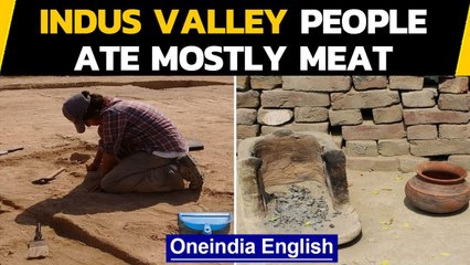 Indus Valley people ate mostly meat like pigs & cattle | Oneindia News