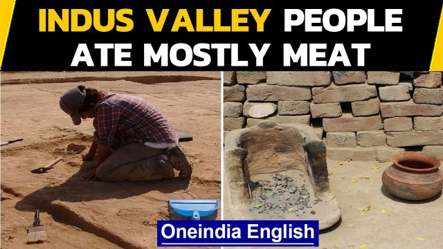 Indus Valley people ate mostly meat like pigs & cattle | Oneindia News