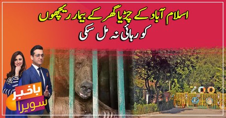 Lonely ill Bears still at Islamabad zoo as sanctuary raises health concerns