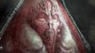 SCORN 7 Minute Trailers NEW (2021) H.R Giger Inspired Horror 4K ULTRA HD