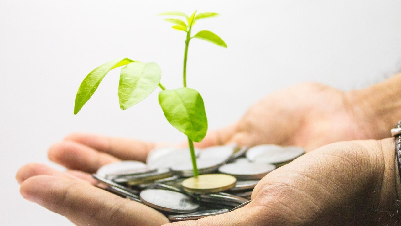 The Three Ways You Can Turn The Internet Into Your Own Personal Money Tree