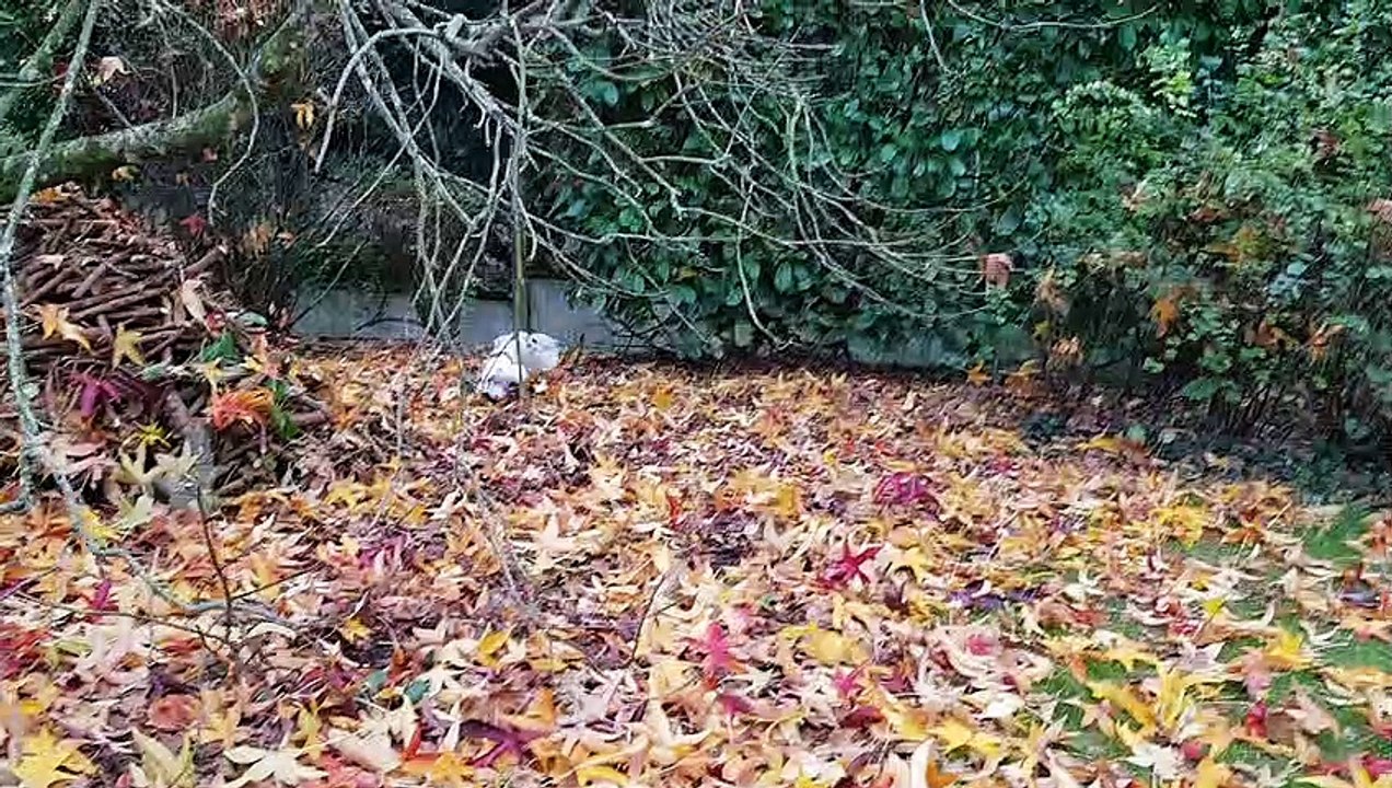 Heureux aussi de jouer au jardin