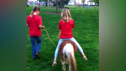 Funny Animals Trolling Babies And Kids