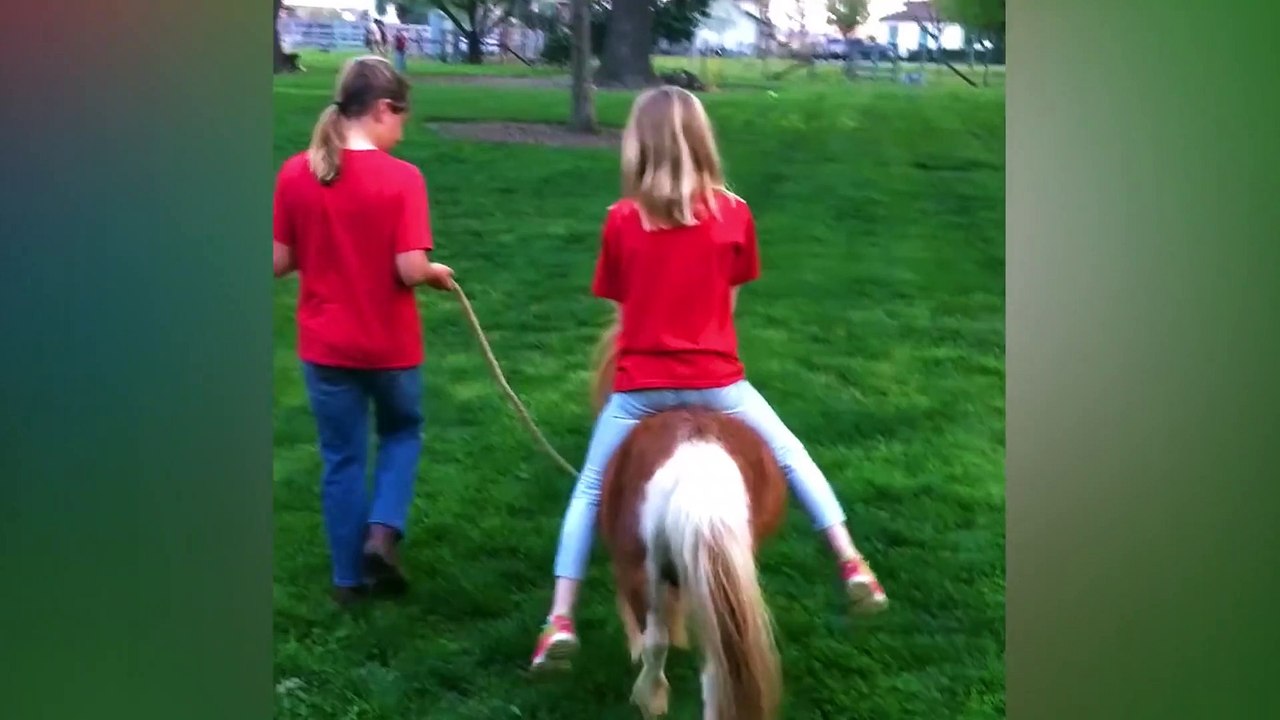 Funny Animals Trolling Babies And Kids