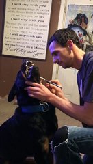 Rottweiler Throws a Fit over Brushing His Teeth