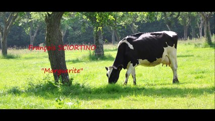 Marguerite - François Sciortino - cover Byron Louvet