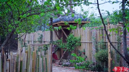 La vida de los pepinos