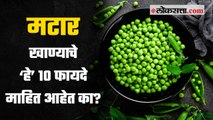 मटार खाण्याचे ‘हे’ १० फायदे माहित आहेत का? | Health Benefits of Green Peas