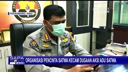 Download Video: Organisasi Satwa Kecam Video Dugaan Adu Satwa Dilindungi dengan Seekor Anjing!