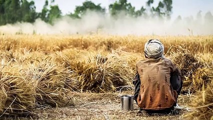 किसानों को 'सभी तरह की समस्याएं' लेकिन 'सिस्टम' उनके प्रति संवेदनशील नहीं: बॉम्बे हाई कोर्ट