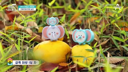 [오은영 금쪽 처방] ※조부모와 공동 양육시 필요한 건 가정 내 권위의 재정립!※