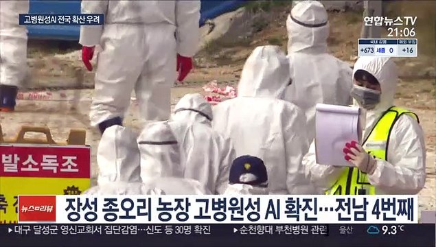 장성·정읍서 또 고병원성 AI…정총리 방역 총력
