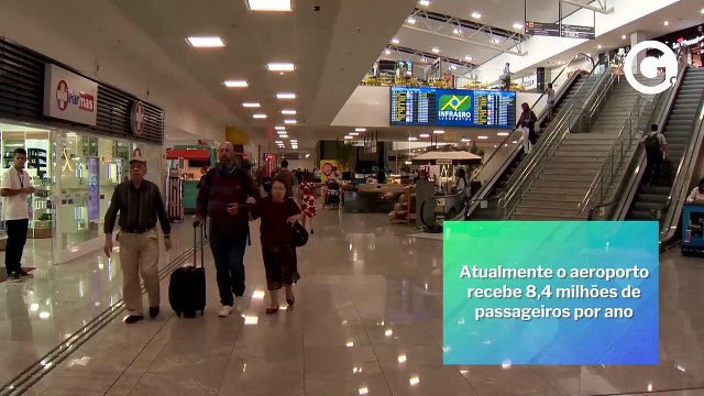 Abu Dhabi e mais seis - Conheça as aves de rapina que garantem a segurança dos voos no Aeroporto de Vitória