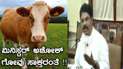 ಗೋವುಗಳನ್ನು ಸಾಕಲಾಗದಿದ್ದರೆ ನಮ್ಮ ಮನೆ ಎದುರು ತಂದು ಬಿಡಿ, ನಾವು ಸಾಕುತ್ತೇವೆ- ಆರ್. ಅಶೋಕ್| Oneindia Kannada