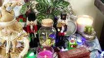 Jardinería | ¿Cómo decorar en navidad con plantas en nuestra casa? - Nex Panamá