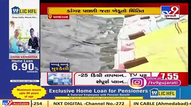 Tension grips Sanand farmers after unseasonal rain destroyed paddy crops TV9News