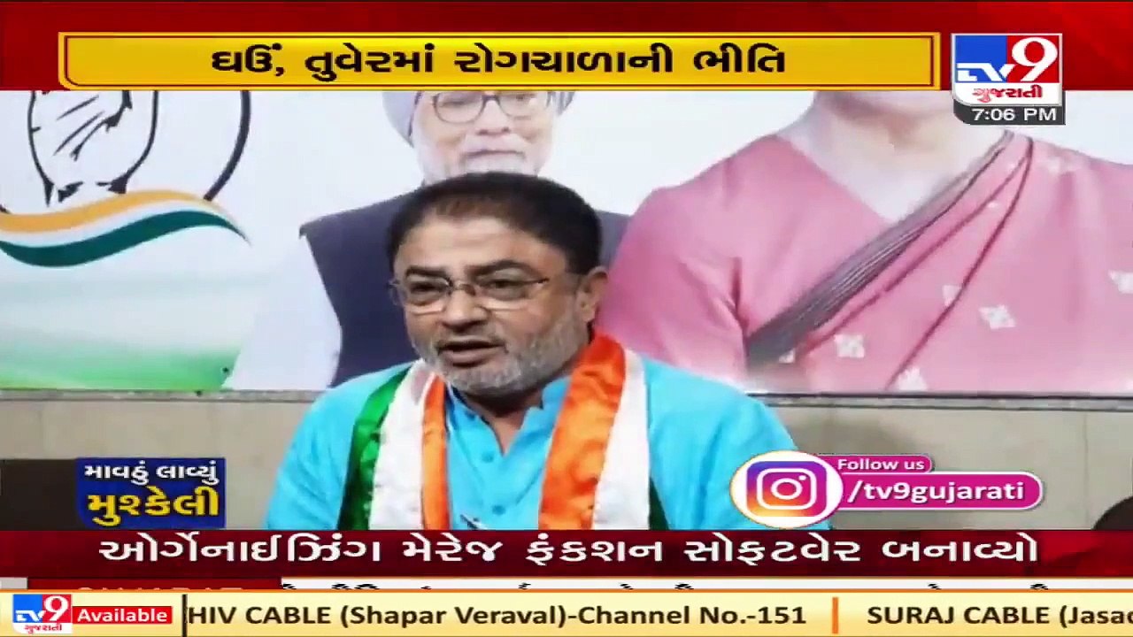 Farmers face huge crop loss due to unseasonal rain, Congress seeks survey for compensation  TV9News