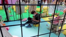 Rent-A-Cat in China; playing with cute cats in Shenzhen malls' cat houses