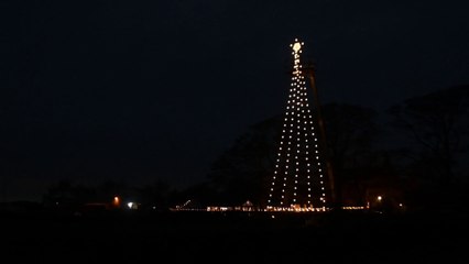 55 foot giant Christmas Tree erected at Saswick House Farm Shop