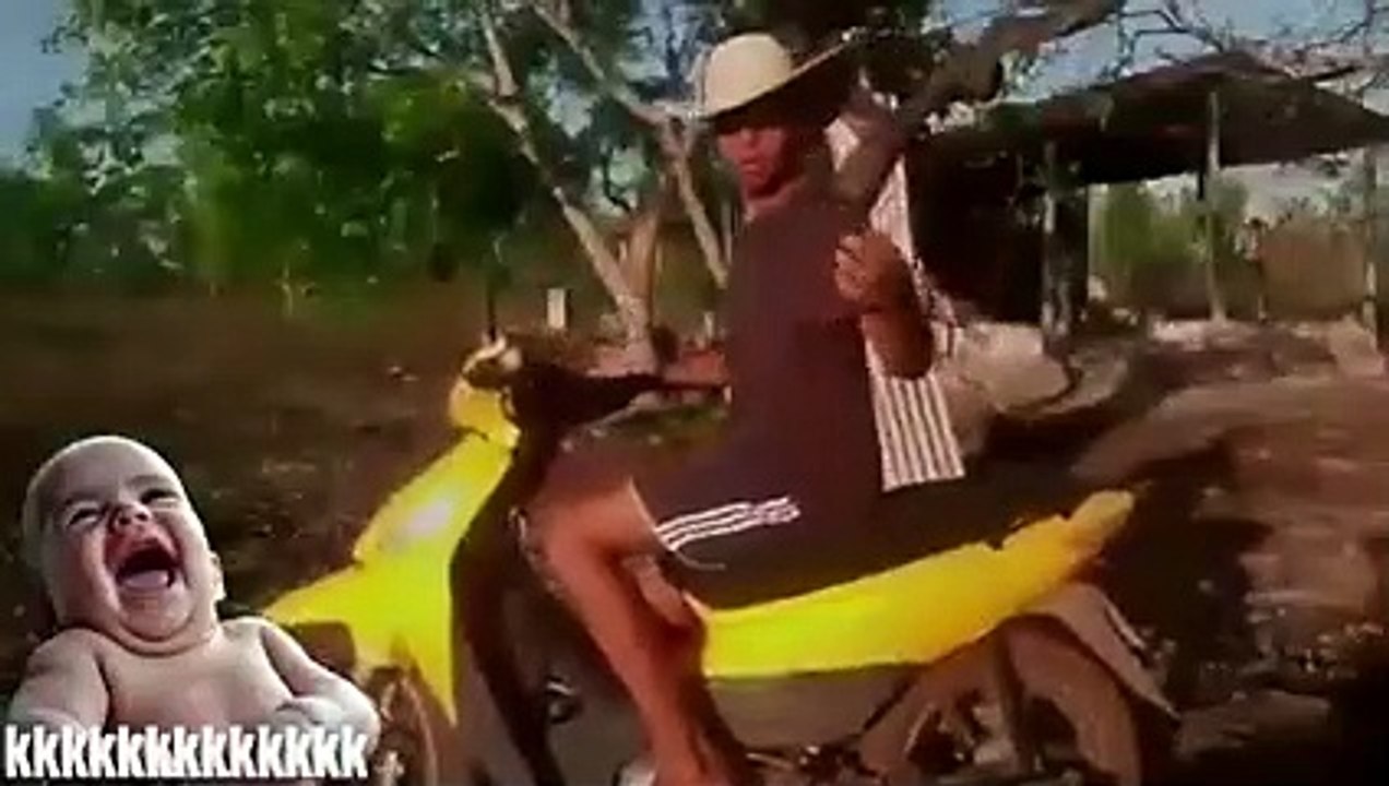 Mudinha