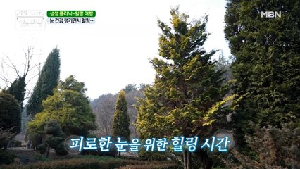 혼자만 알기 아까워 공유합니다:) 힐링 눈 건강 관리법!