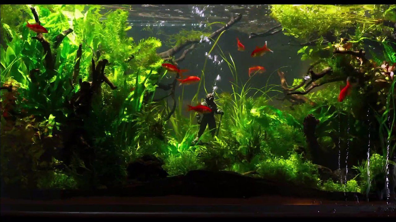 Paula Beer und Nina Hoss sind unter den Nominierten beim Europäischen Filmpreis