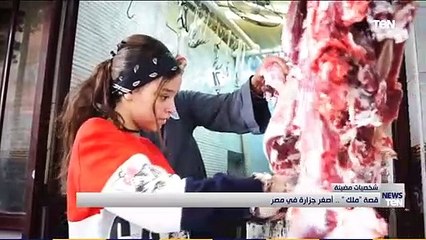 قصة "ملك".. أصغر جزارة في مصر