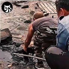 Facebook media - 219424849575469 ( HD )