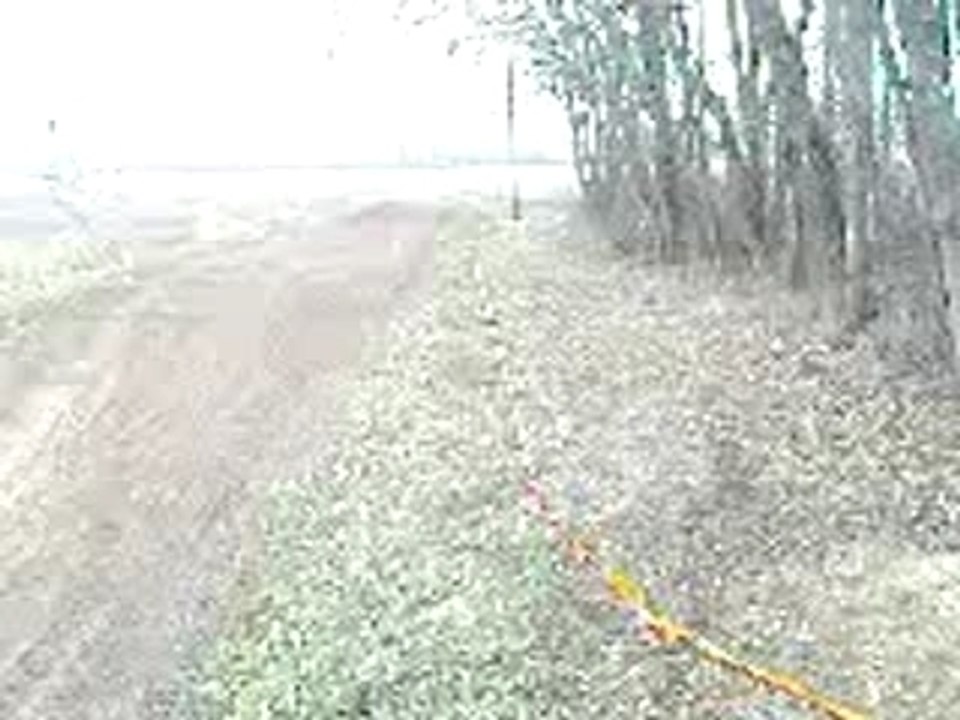 Dav