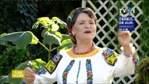 Cornelia Ciobanu - Am adus din Botosani (Tezaur folcloric - TVR 1 - 13.09.2020)