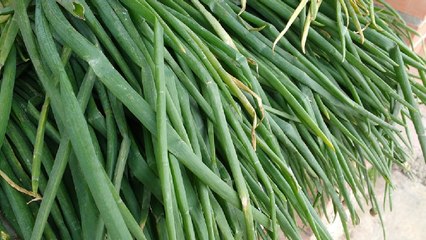 Bajas temperaturas ponen "en jaque" a agricultores en el páramo de Berlín