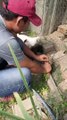 Man Rescues Poor Puppy Trapped in Net