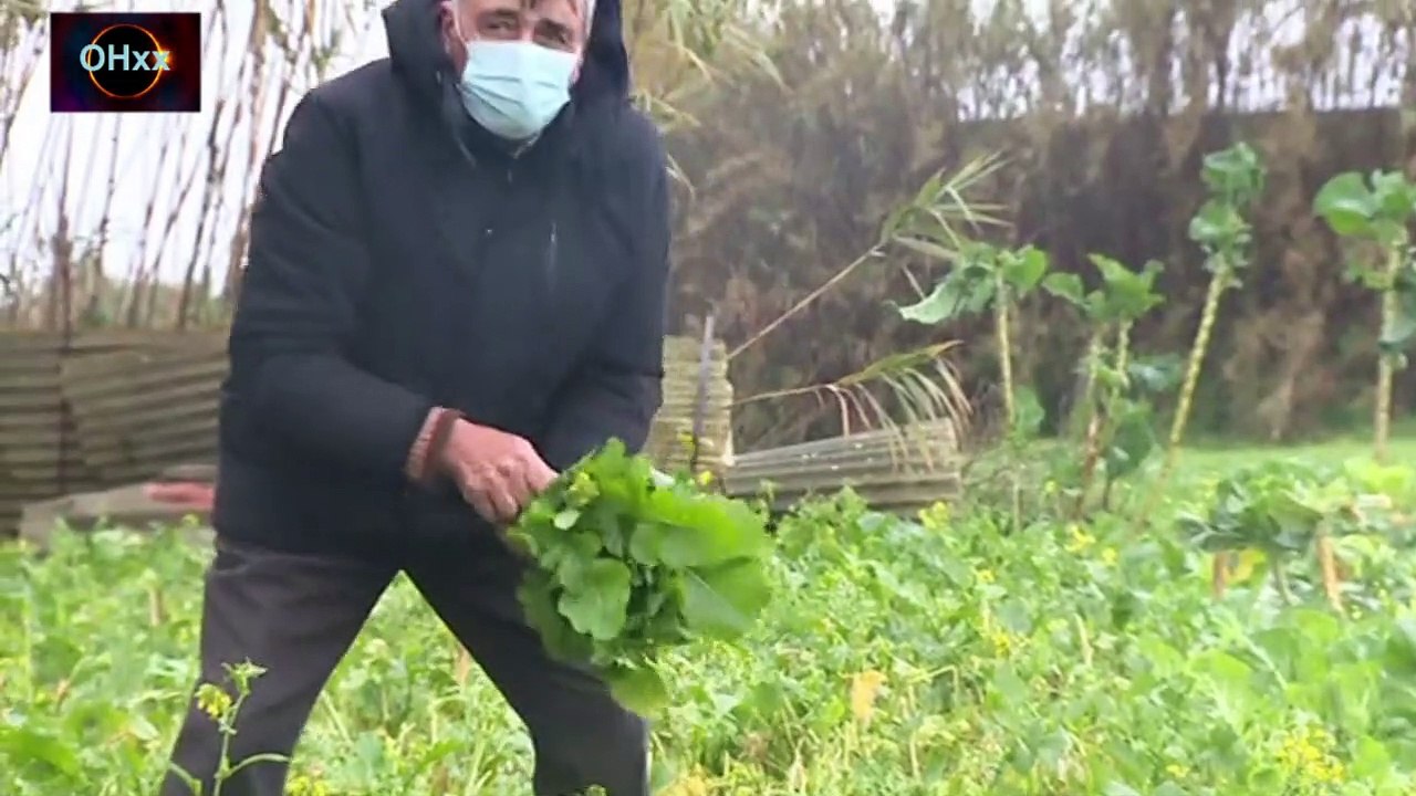 Homem teve legionella e covid-19 ao mesmo tempo