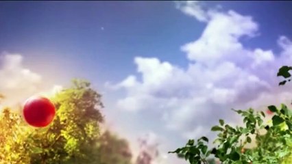 Tempesta d'amore - 8 dicembre 2020