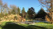 Le jardin chinois prend forme dans le parc de Maurepas à Rennes