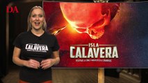 Agenda del Festival Isla Calavera del domingo 13 de diciembre de 2020