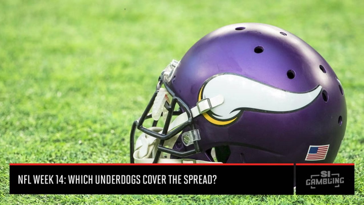 NFL Week 14 Underdogs: Which Teams Will Cover The Spread