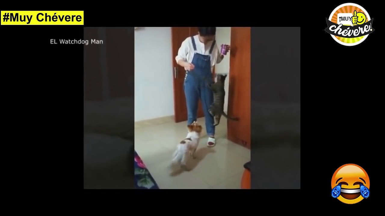 videos de CAIDAS graciosas para MORIRSE de risa Volumen #2  2020