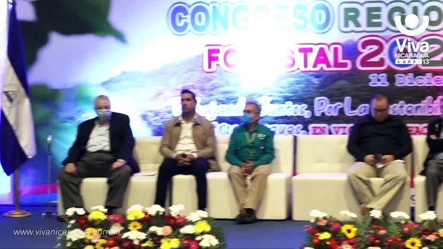 Artesanos nicaragüenses promueven el uso sostenible de los bosques