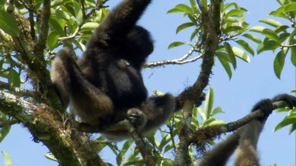 Equator E02 - Battle for the Light