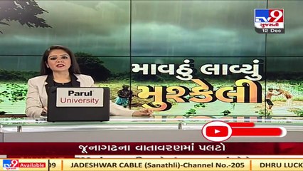 Navsari witnesses change in weather with some areas receiving rain showers