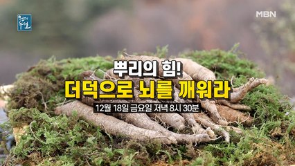 뿌리의 힘! 더덕으로 뇌를 깨워라