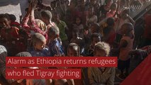 Alarm as Ethiopia returns refugees who fled Tigray fighting, and other top stories in international news from December 12, 2020.