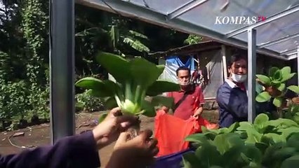 Petani Klungkung Bali Diperkenalkan dengan Sistem Hidroponik