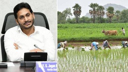 AP CM YS Jagan Mohan Reddy on Lease Farmers Loans