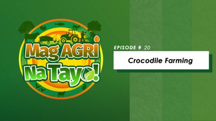 "CROCODILE FARMING" Mag-Agri Na Tayo! Ep-20
