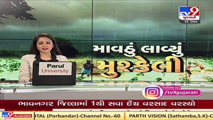 Farmers worried due to unseasonal rain in Bhavnagar  Tv9News