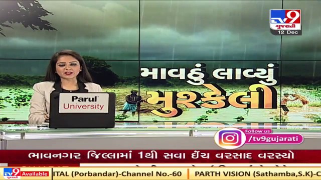 Farmers worried due to unseasonal rain in Bhavnagar Tv9News