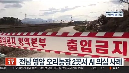전남 영암 오리농장 2곳서 AI 의심 사례