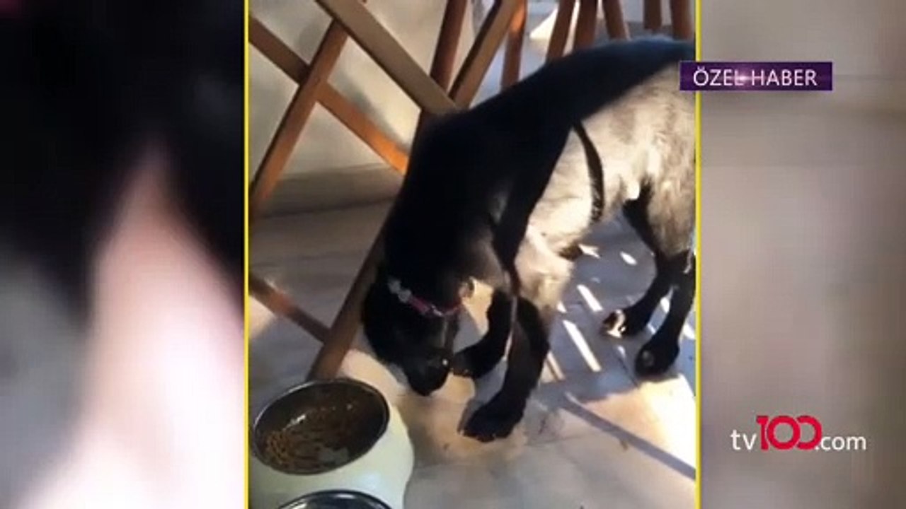 Aslı Enver, Kerem Tunçeri'yle aşk iddiası hakkında ilk kez Magazin Hattı'na konuştu